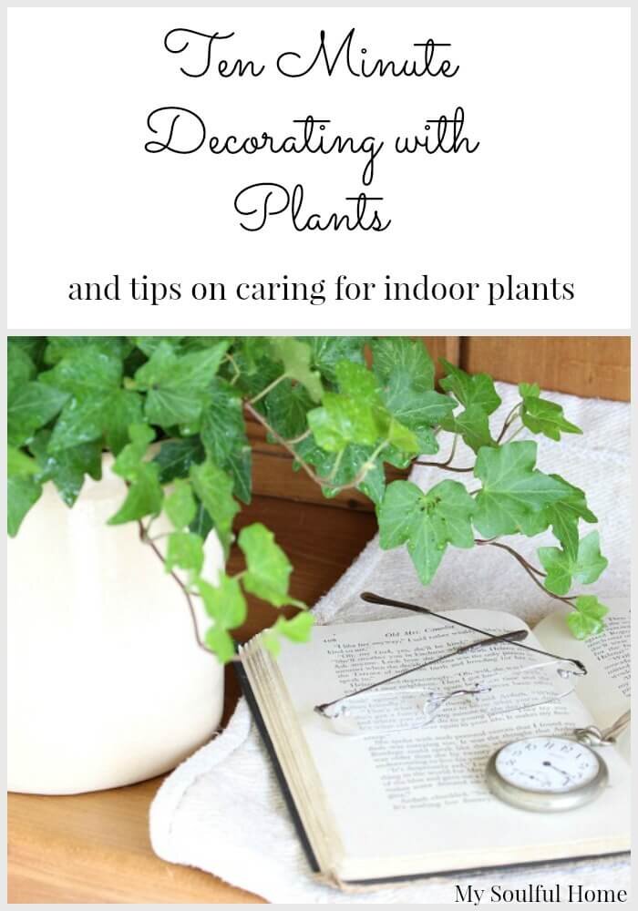 Ten Minute Decorating with Plants — My Soulful Home