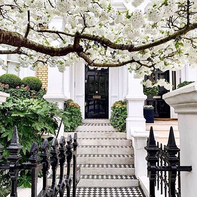 Let&rsquo;s explore ...
Today we are strolling in Kensington. Homes with charm to spare. This one captured by @magnoliawalks . Head there for more of London&rsquo;s loveliest!

#virtualhometour
#takeastrollwithme
#placesilove
#havecalledithome
#south