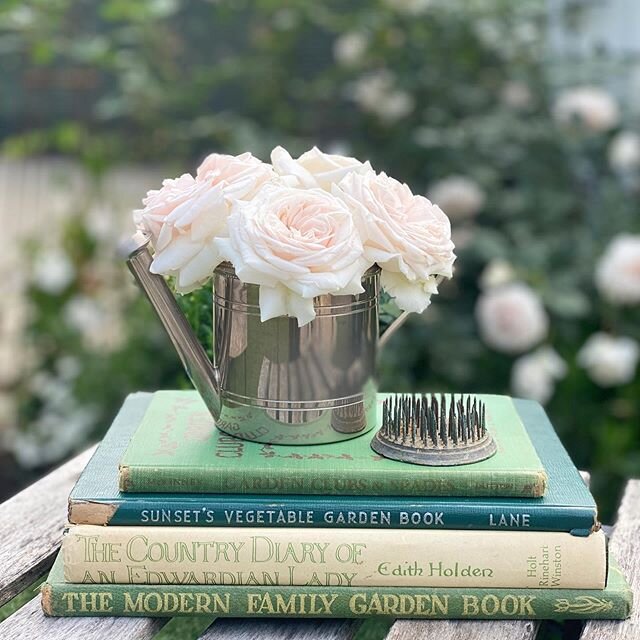 Who has been gardening A LOT? Me! Have you?
If you had a first bloom of roses might be time to deadhead to get another round of buds going. Speaking of roses - I interviewed Stephanie Rose @garden_therapy for the podcast yesterday. You are going to l