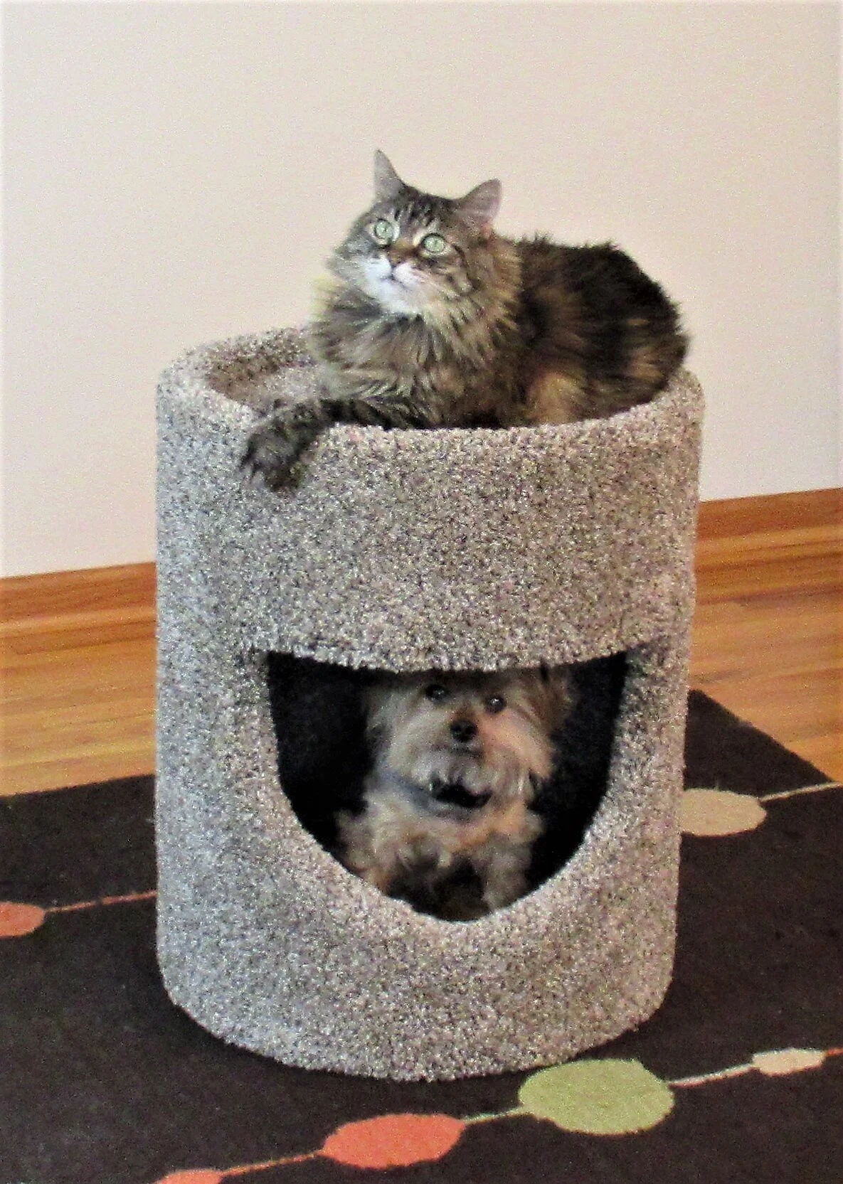 20˝ Fat Cat Cubby