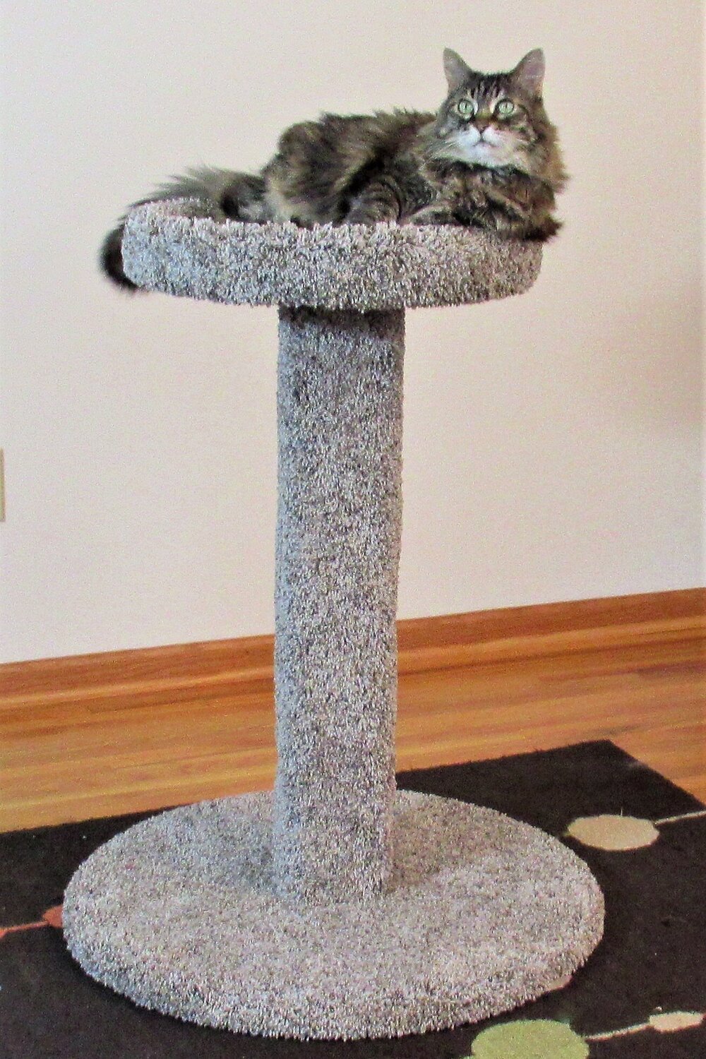 Kitty Boinks Cat Toys — Purrniture