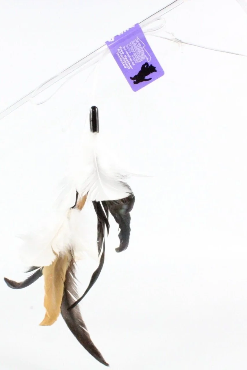 Pheasant Feather — Purrniture