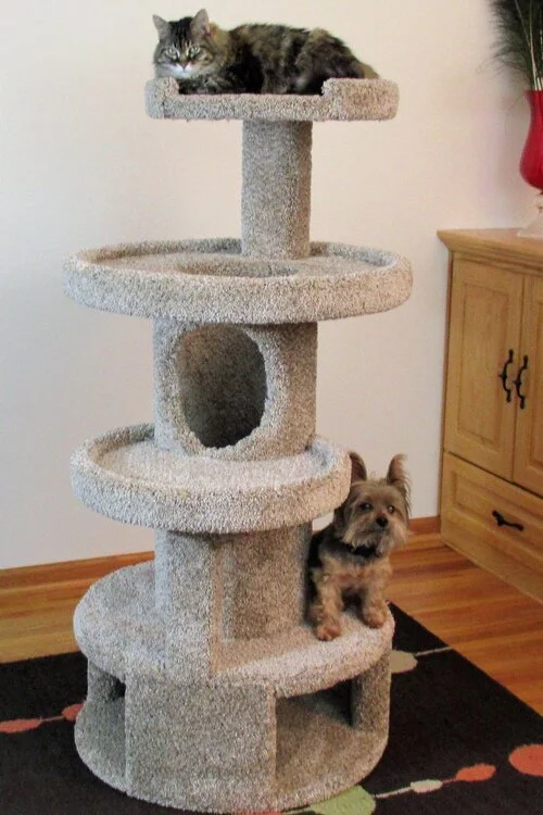 Purrniture Cat Furniture