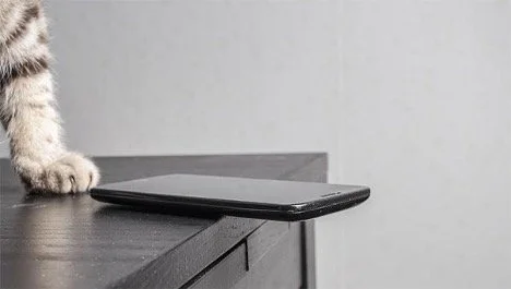 Why do cats knock things off tables?