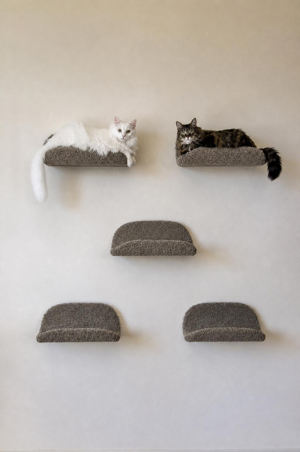 Scoops_wall_shelves_featured_photo.png
