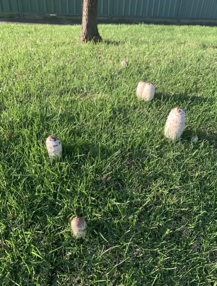 QuickWrite of the Day #36: Worlds within worlds