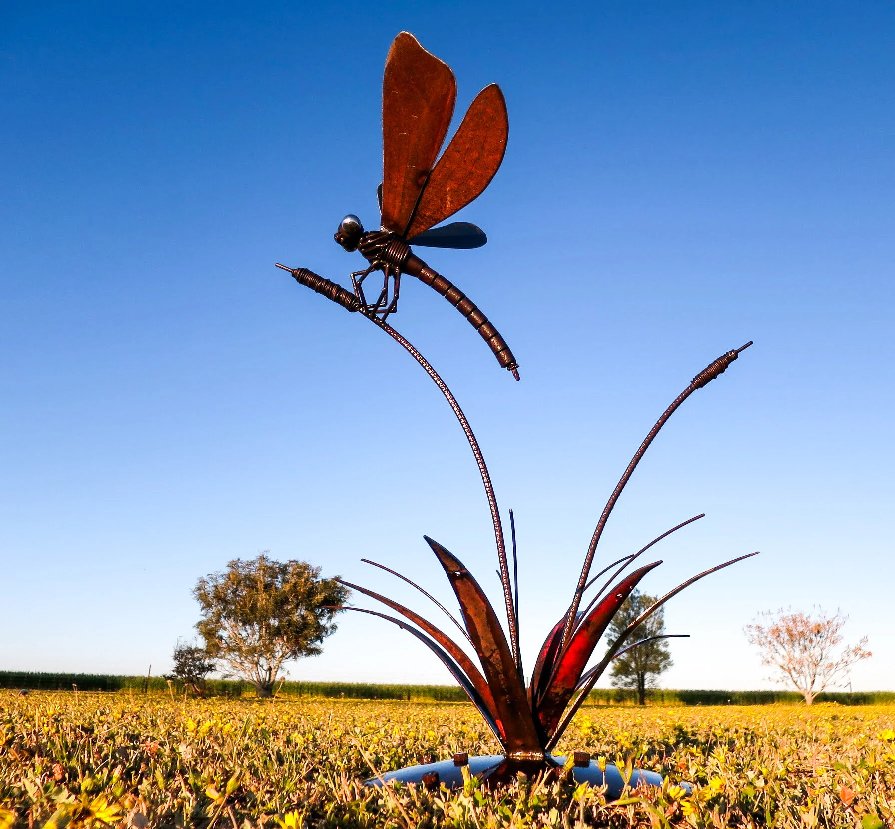 Dragonfly on Reed 2