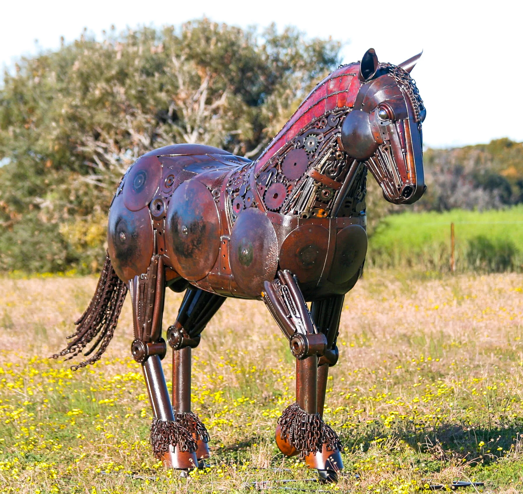 The Australian Draught Horse
