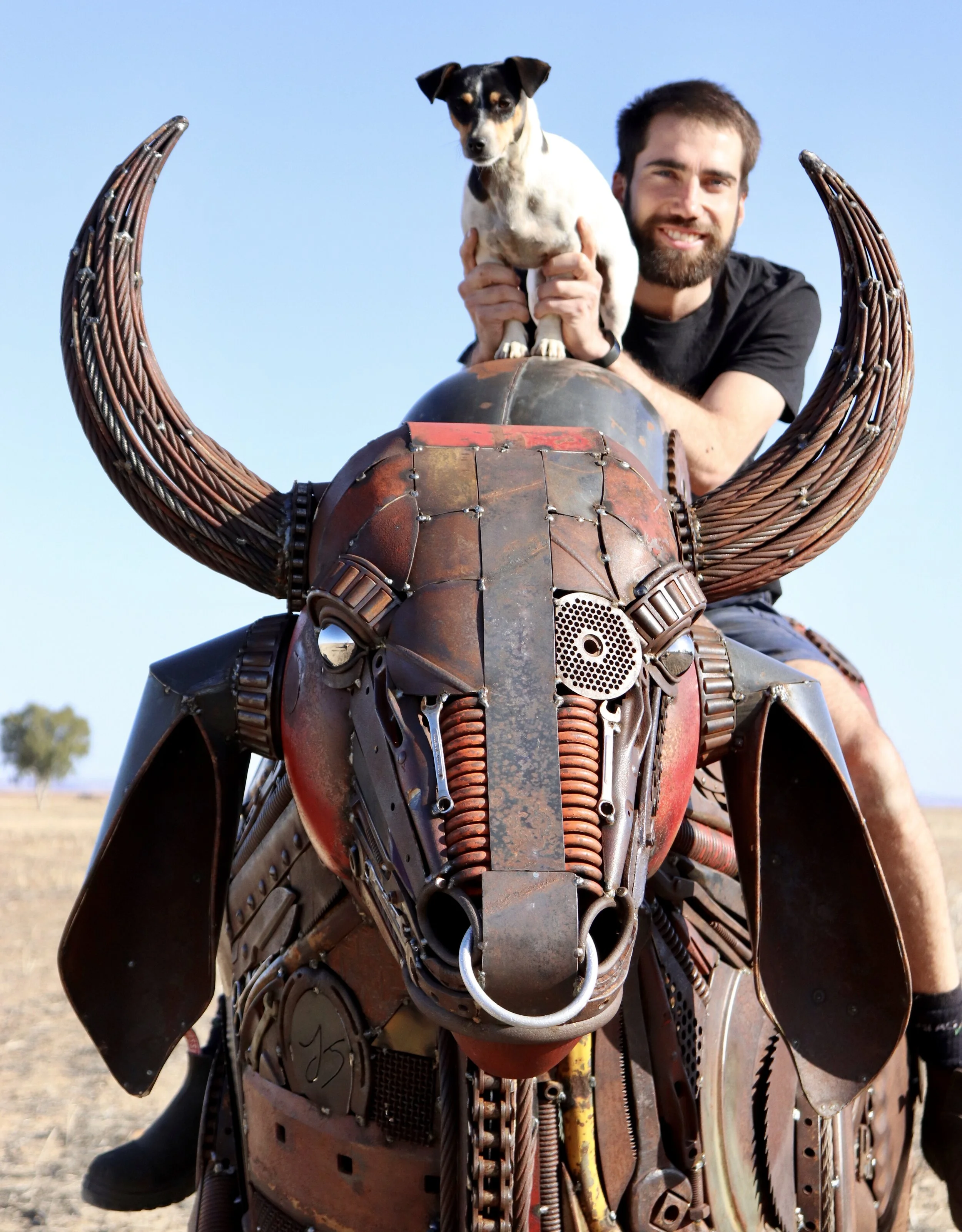 The Brahman Bull
