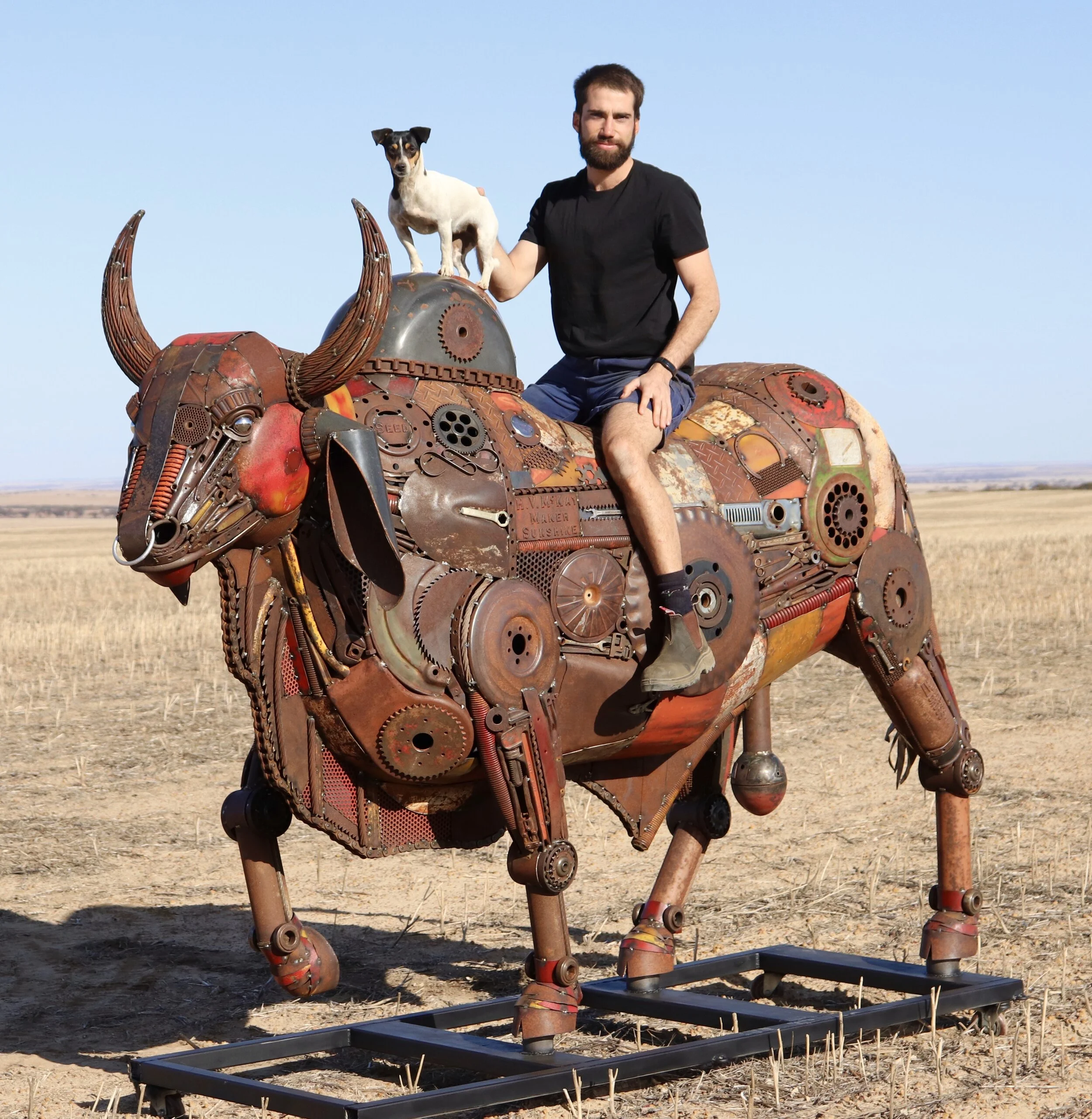 The Brahman Bull