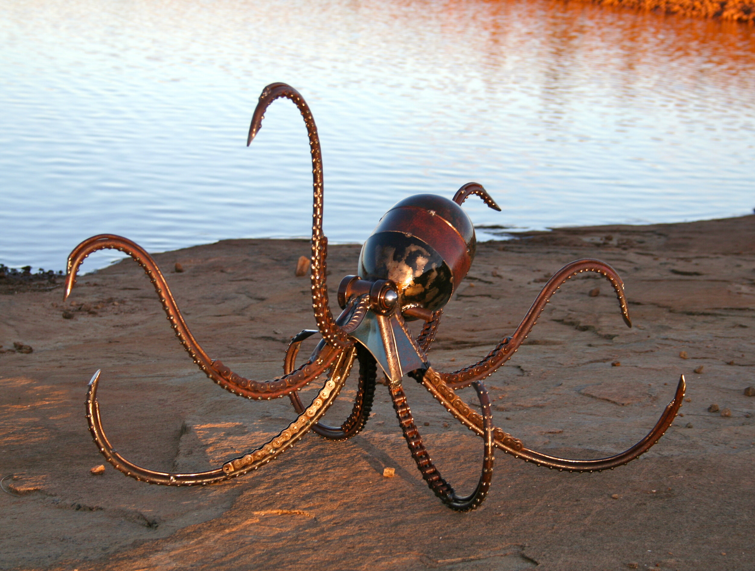 Octopus 3.jpg