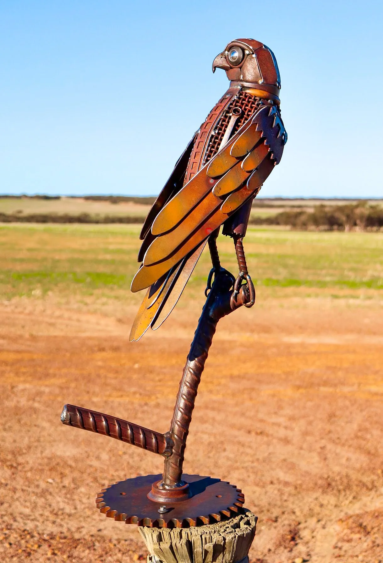 Copy of Rain bird Portrait .JPG