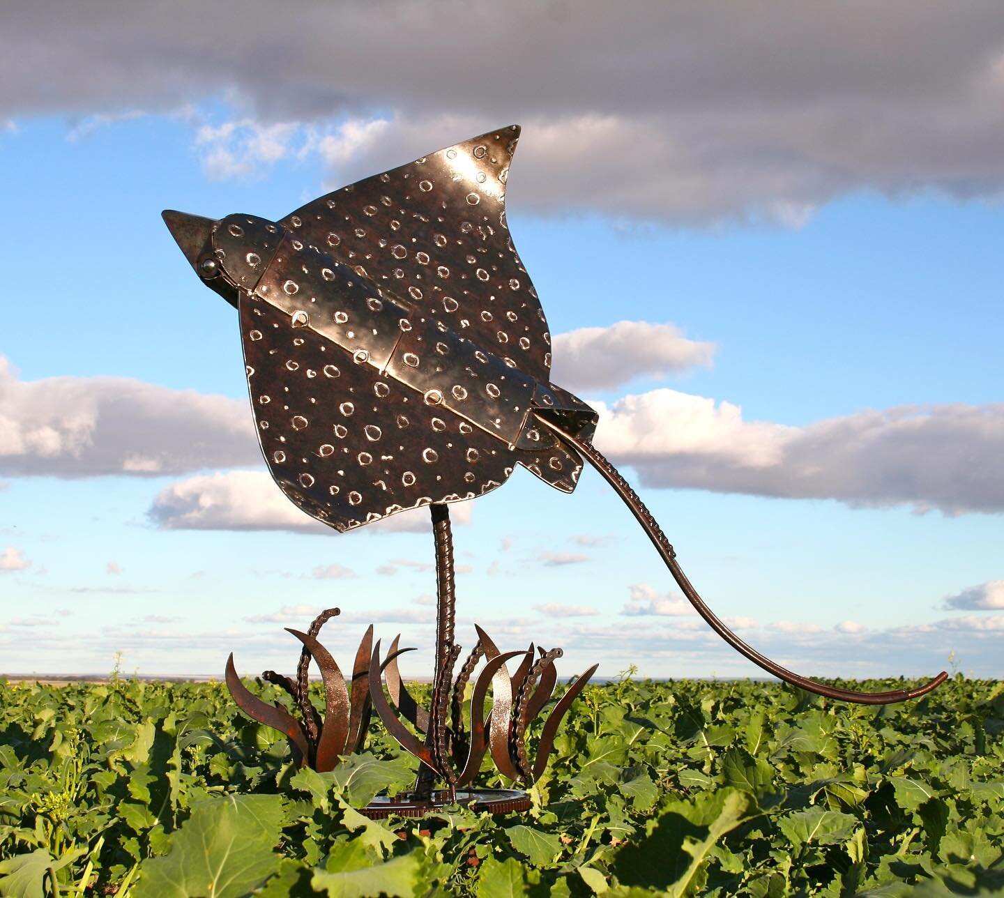 A Spotted Eagle Ray, just a little far from home, surfs the clouds over the beginnings of a conala crop. 

&ldquo;The Sky Surfer&rdquo; (2017): Constructed from retired tools, machine parts and farm scrap sourced throughout rural Western Australia.