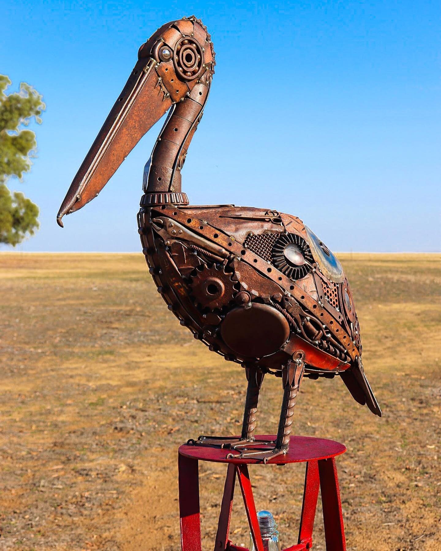 An Australian Pelican enjoying a little pit stop out the farm before his long journey south.

Did you know this guys pouched bill can hold 13 litres of water? But it&rsquo;s mostly used for catching dinner 🐟 

&ldquo;The Ocean Voyager&rdquo; (2019):