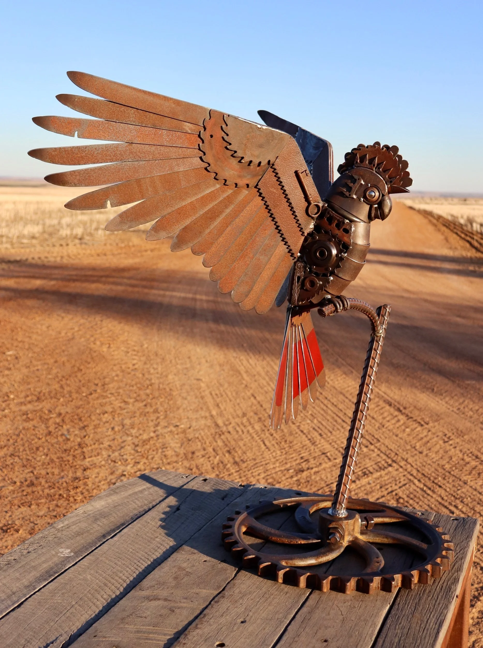 The Red Tailed Cockatoo