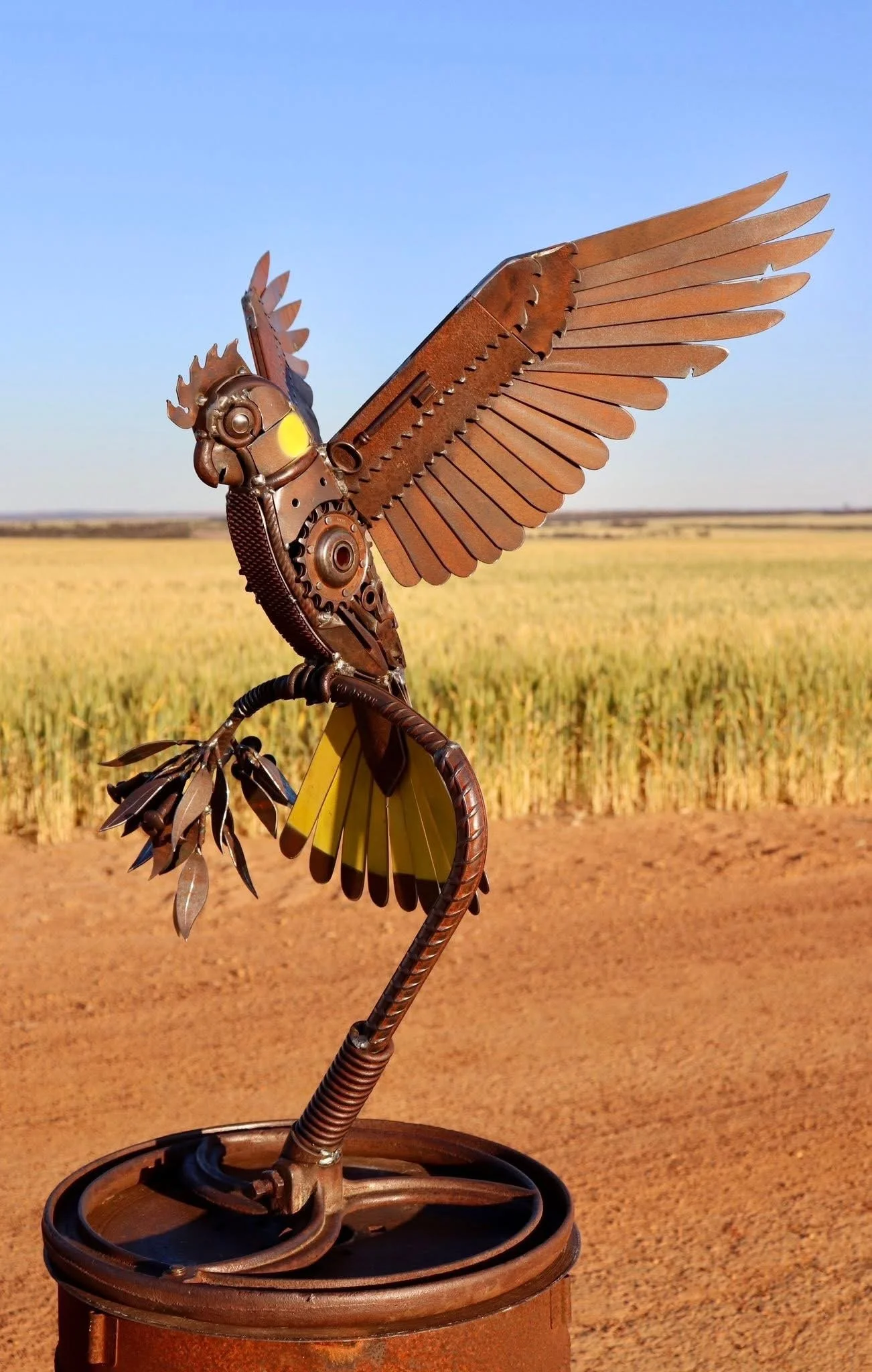 The Yellow-Tailed Black Cockatoo