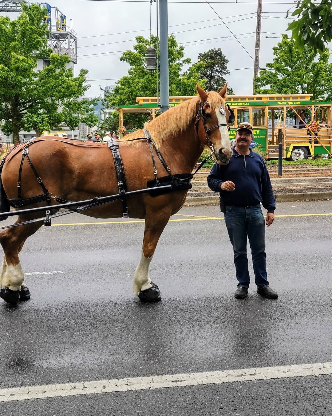 Happy father's day to the man who has been one of my greatest supporters!

#horseandcarriage #centraloregon #fathersday #bestdadever #belgianhorse #horsedrawncarriage