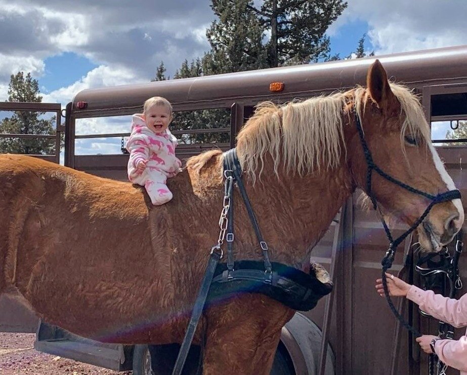 We are excited for summer! Are you? 

Where would you like to see us this year? 
We'd love to know! 

#horseandcarriage #centraloregon #centraloregonlife #weddingseason #horseandwagon #belgianhorse #cutie #babiesandhorses