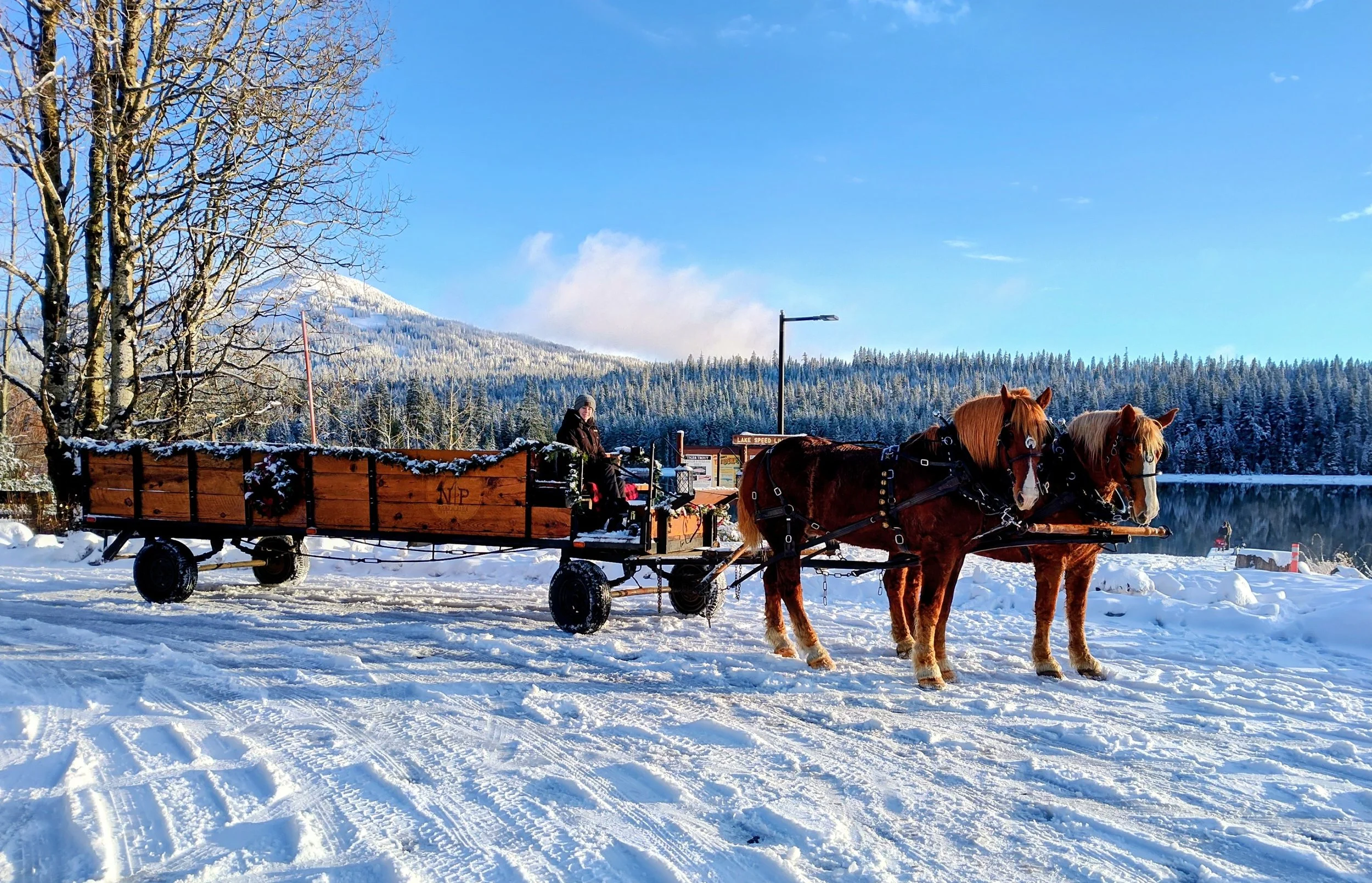 Fish Lake Resort Ride