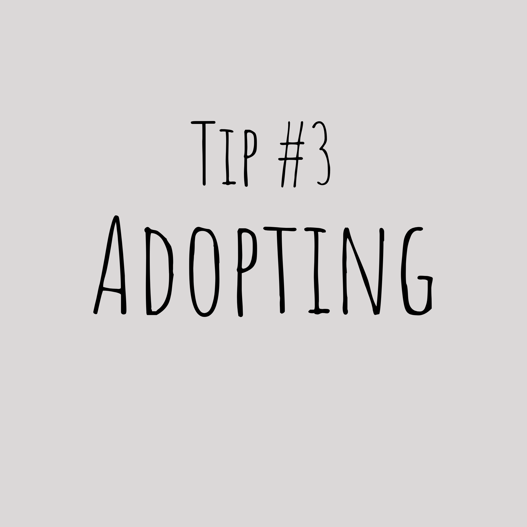 Though there are many breeders and pet stores who continue to produce and sell animals, there are many wonderful dogs and cats waiting in shelters or foster homes for someone to adopt them. With limited shelter space - for every pet sold in a store …