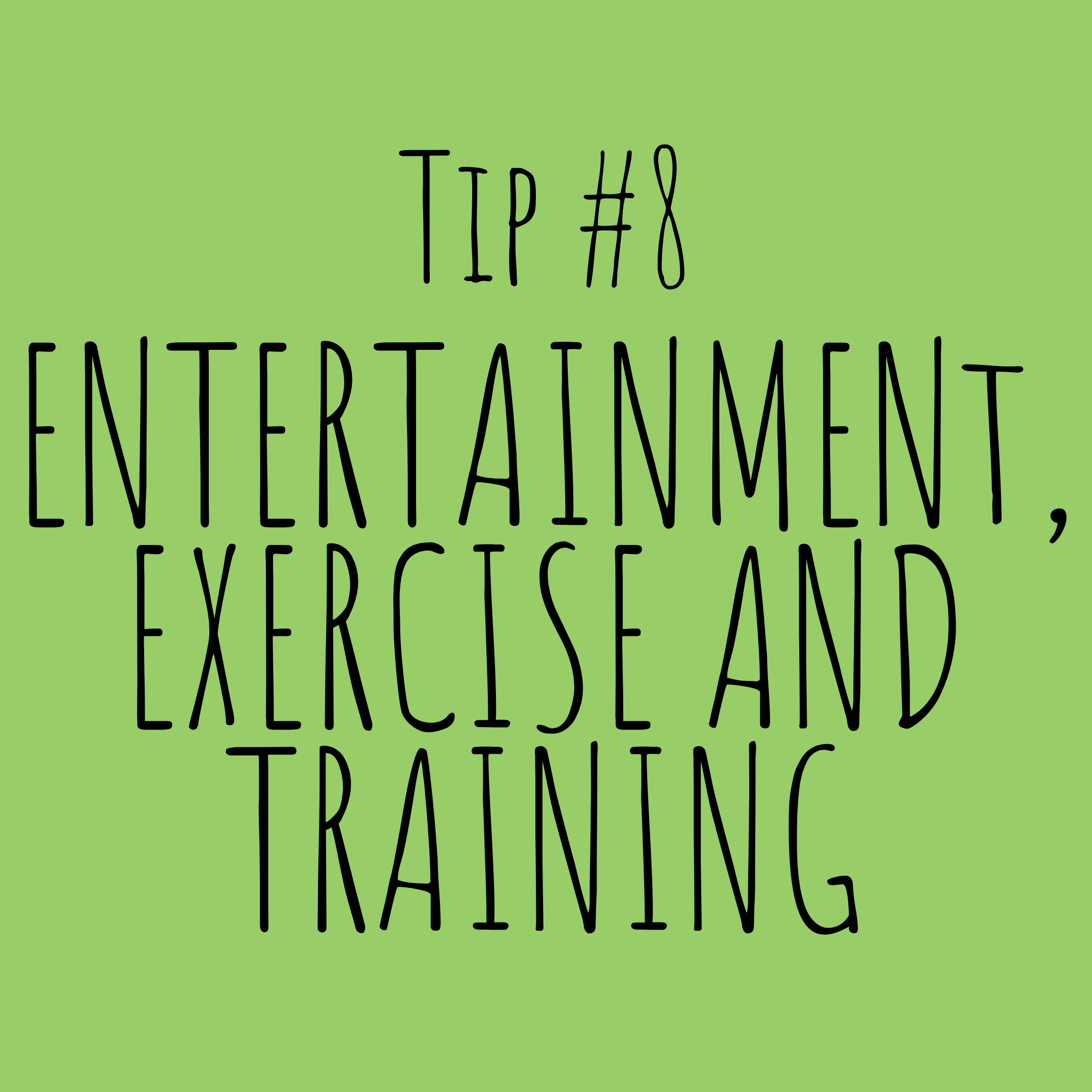 It is important to puppy proof your home when adopting a dog – hide dangerous items, chemicals and objects that will harm them, as pups could view them as toy foods. As pups grow into adulthood, they need lots of running around and much exercise. A …