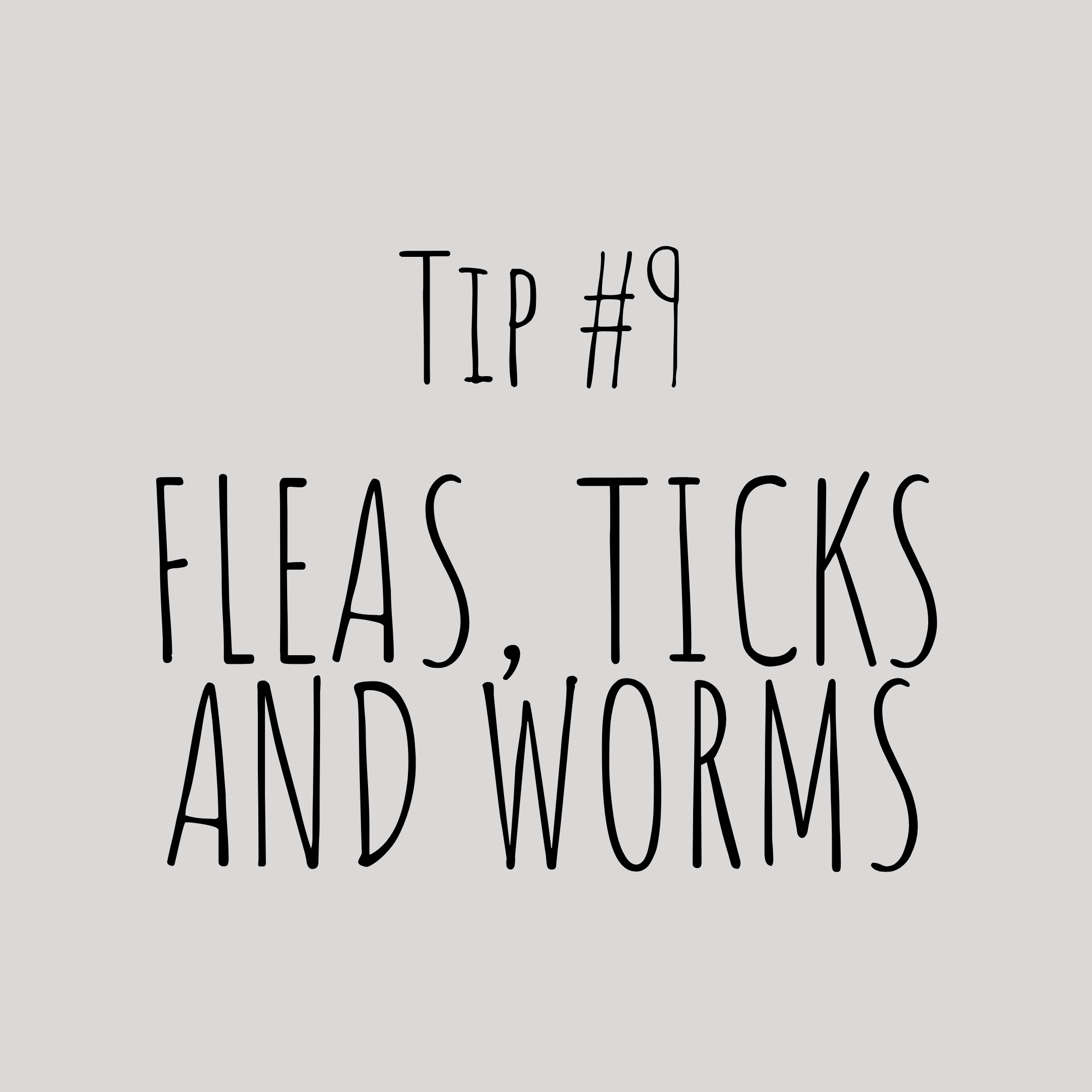 Be on top of your pet’s health check. Make sure to visit your veterinarian for your pet’s complete vaccination. Calendar your pet’s monthly Flea &amp; Tick medication and Heartworm medication for Control and Prevention. Your veterinarian will prescr…