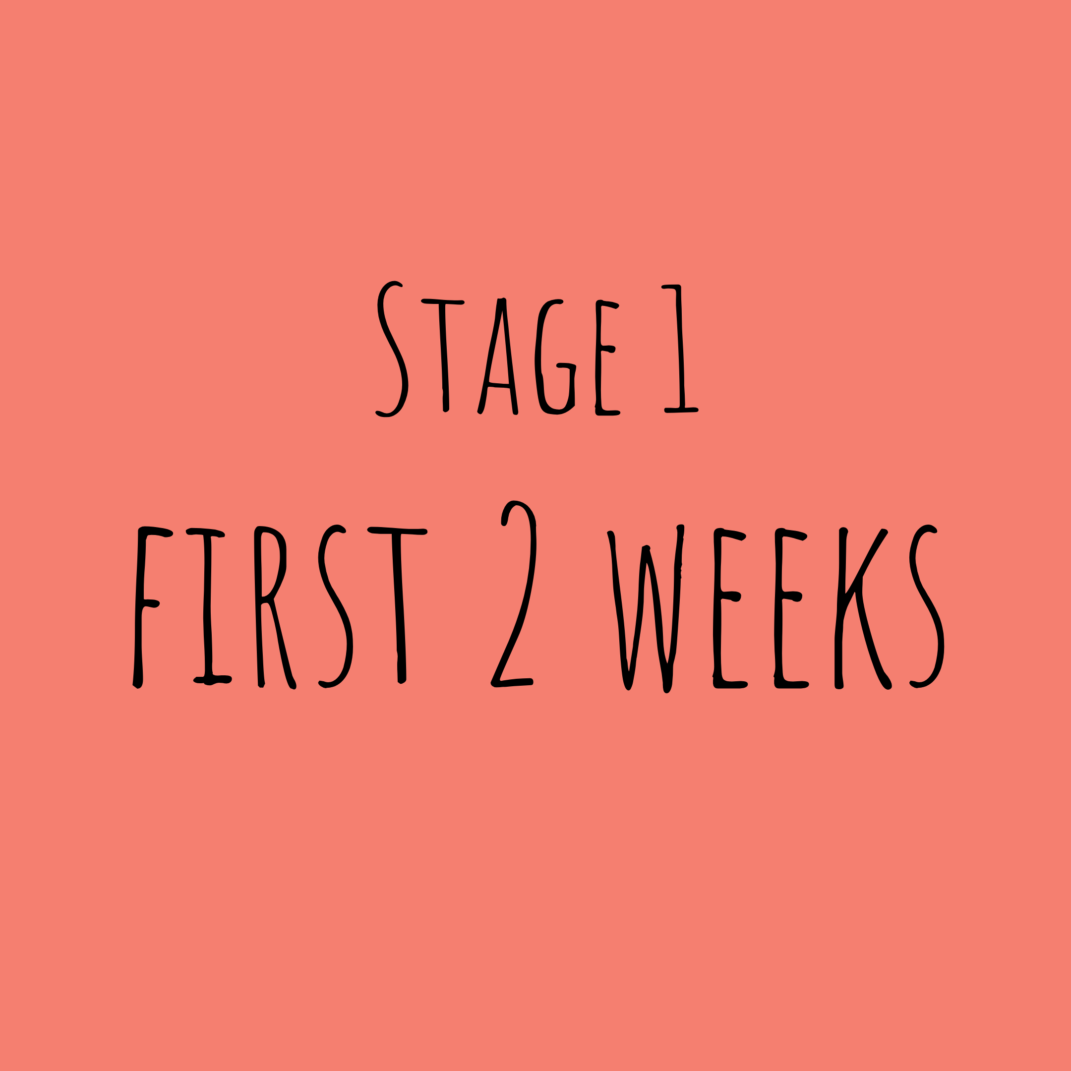 The Pups are BornPuppies are born blind and deaf. Both ears and eyes are shut. Their experiences are entirely through touch and smell.