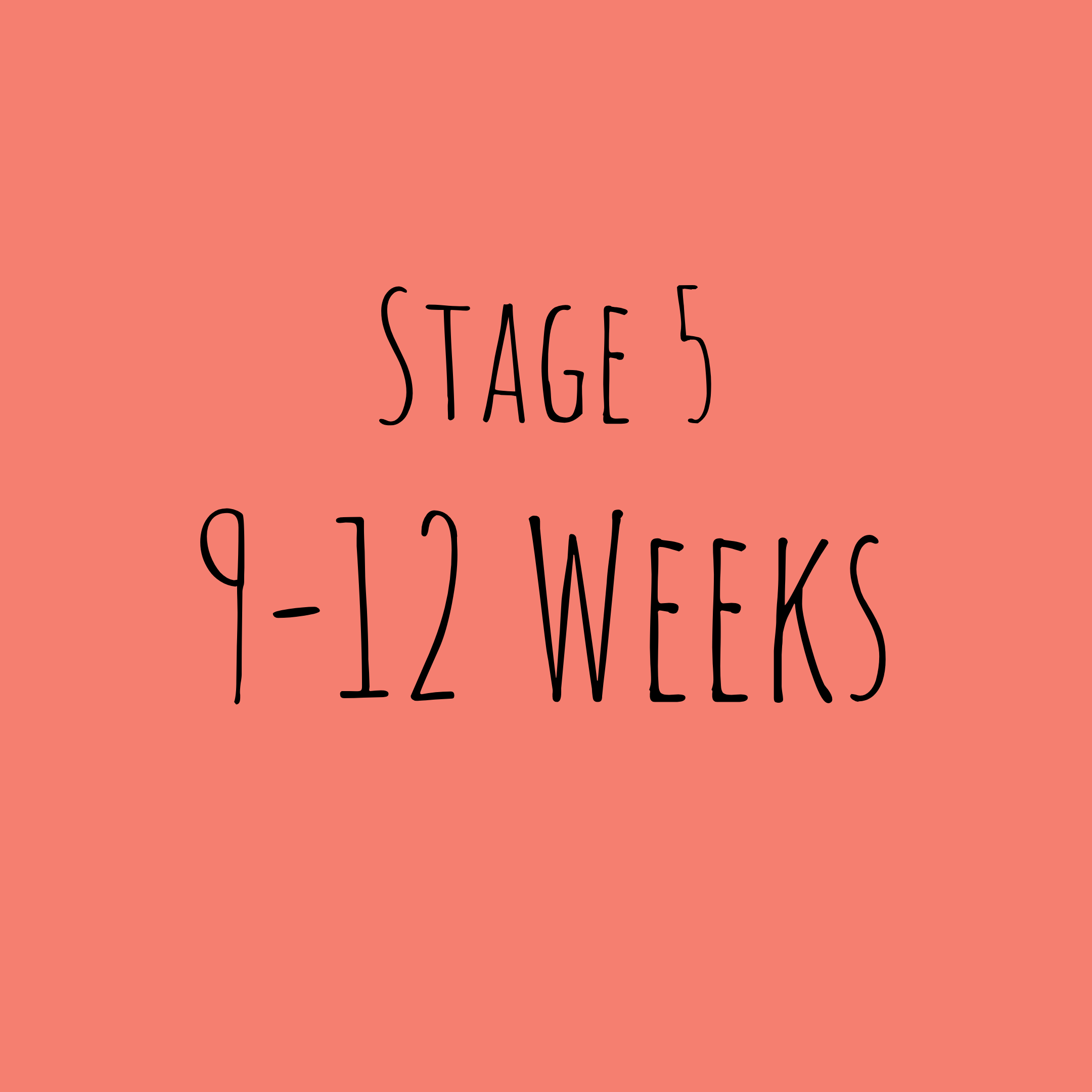 Obedience &amp; InstinctsPuppy is settling in to his new home and bonding with his new family. Pup is ready to begin basic obedience training. Dominance and submission is becoming visible. He is starting to figure out where he fits in the social ord…