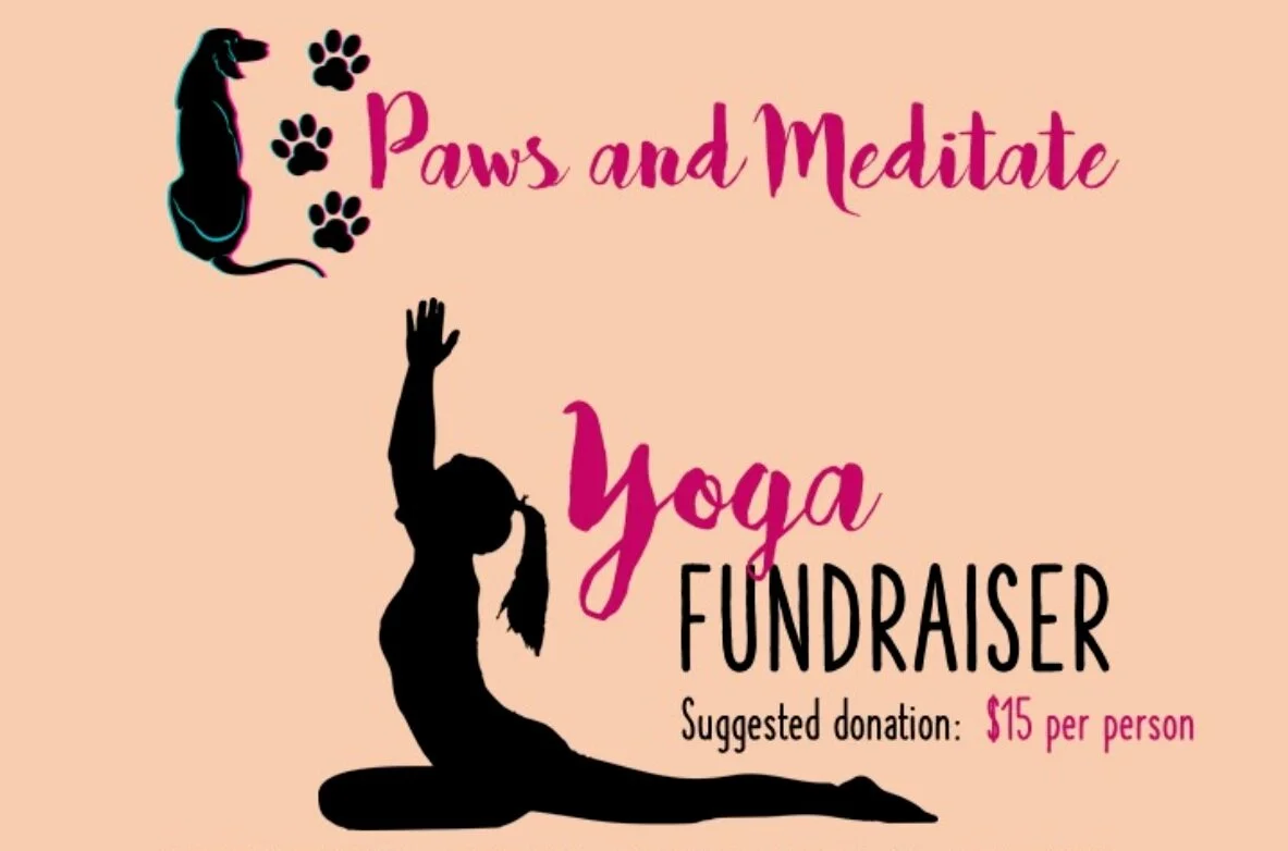 Paws &amp; Meditate