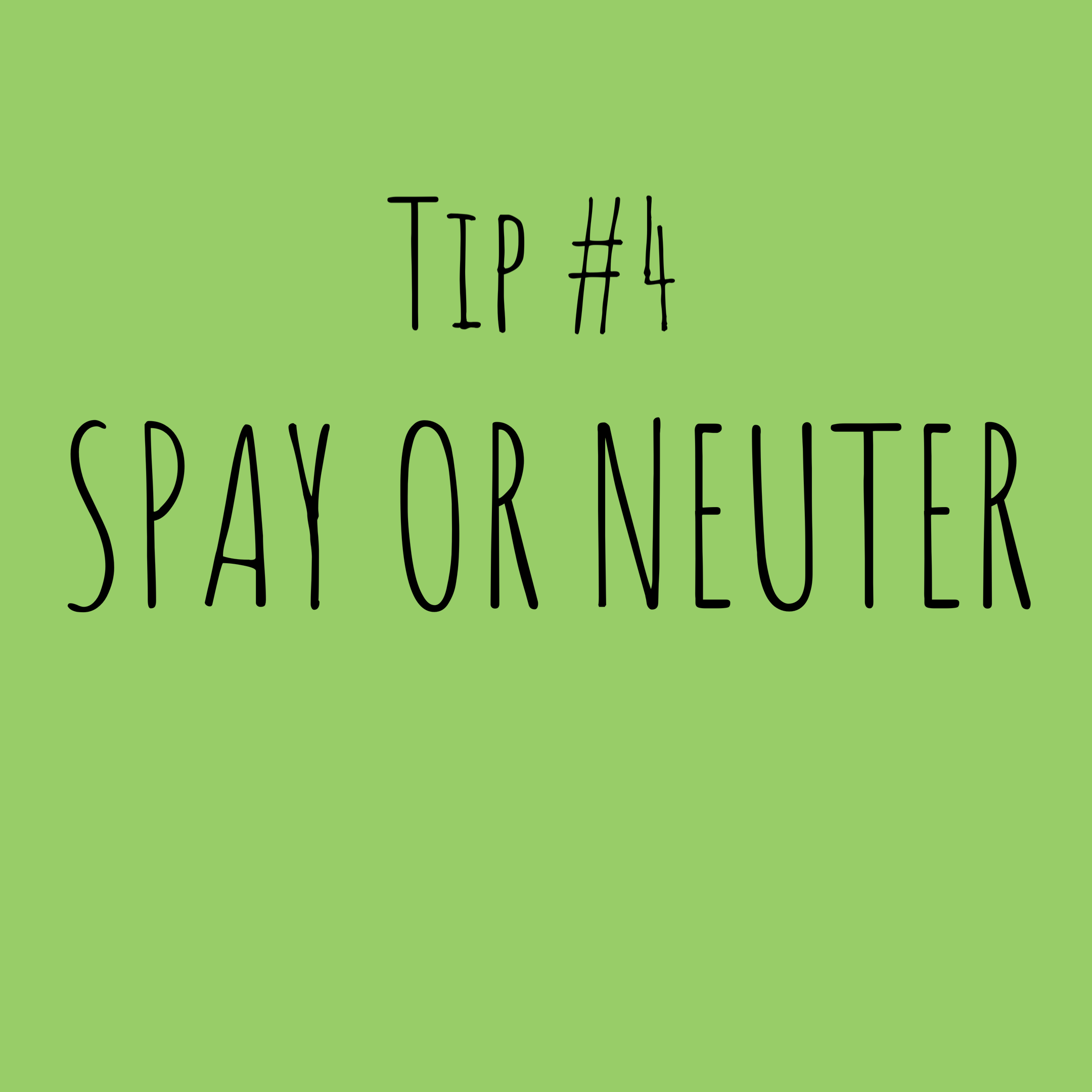 Be a responsible owner. Spay or neuter your pet to make sure no unwanted puppies or kittens are born. Plus, it helps with your pet’s health and behavior. Learn more about spaying and neutering here.
