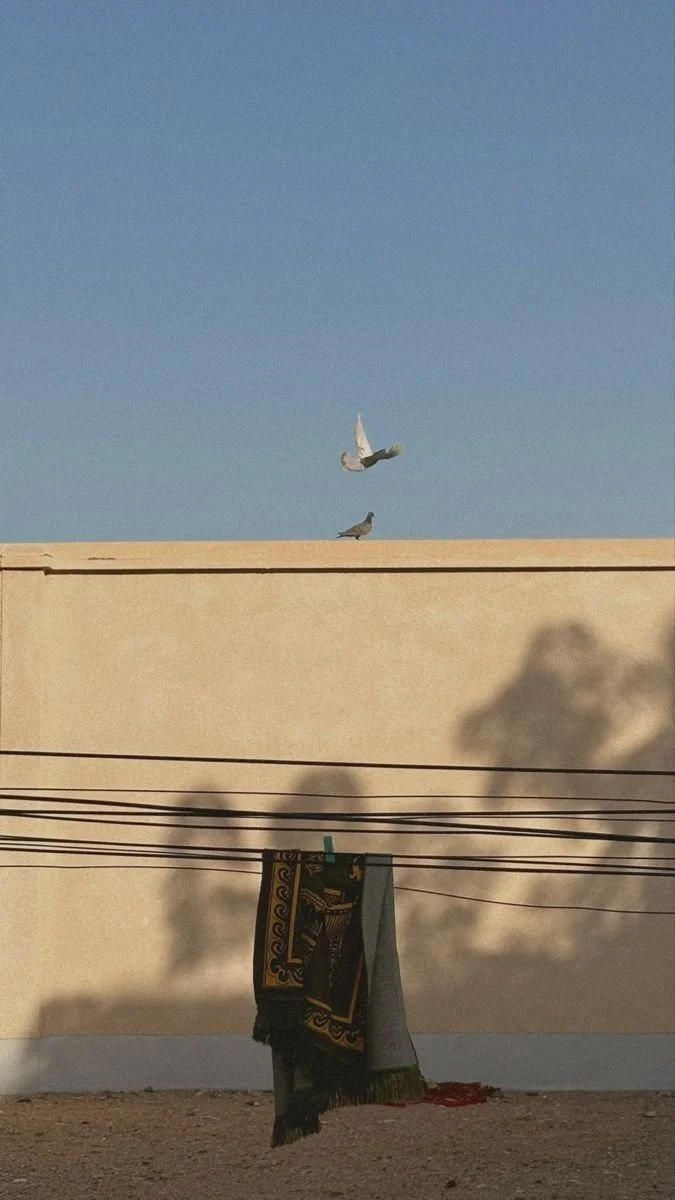 Free Palestine - A comprehensive reading list..