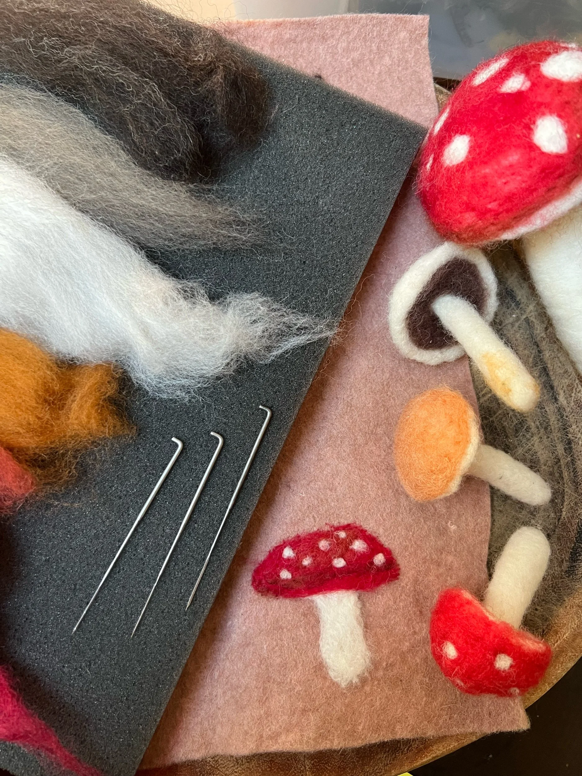 Saturday March  28th 10:30am-  Dry/ Needle felt a mushroom. Soft sculpture with Bree Thomas