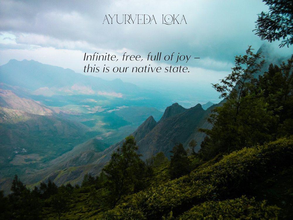 Nature-based branding and web layout for an eco-friendly wellness retreat