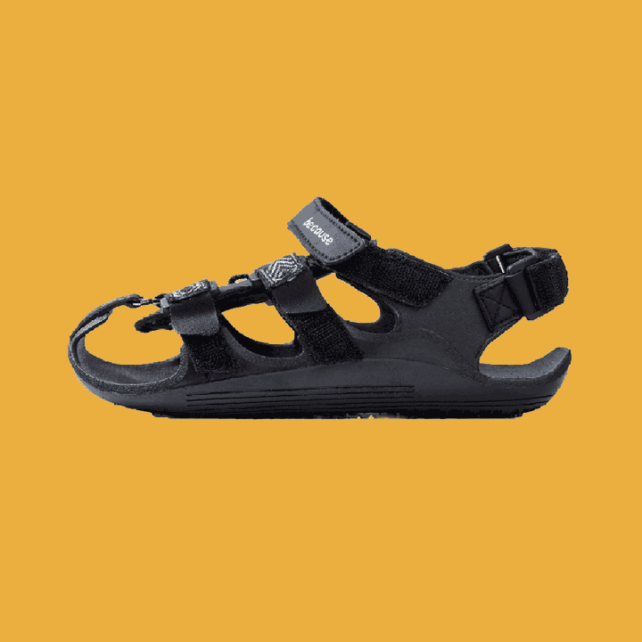 2024_TSTG_5-Sizes_Yellow.gif