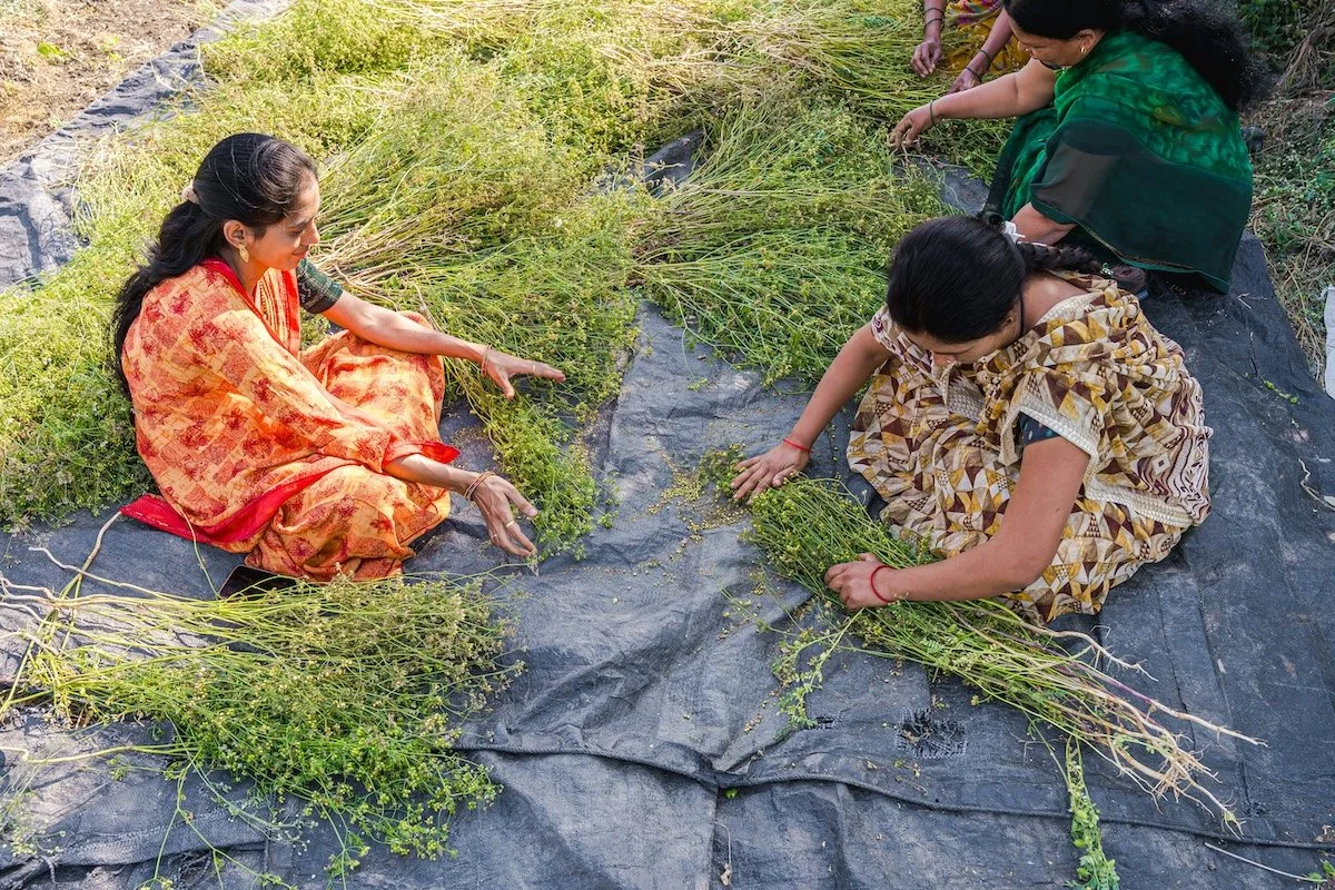When Storytelling Isn’t About Scale: Lessons from Small, Mission-Driven Brands Around the World