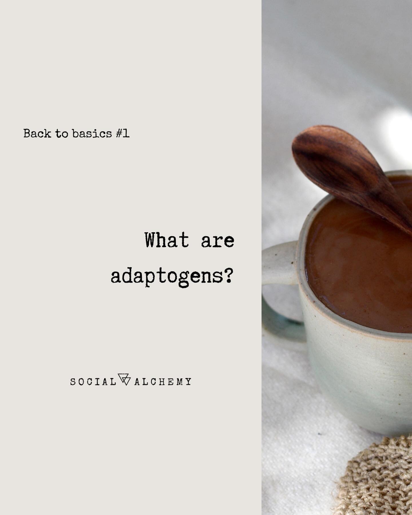 You&rsquo;ve heard about them and you&rsquo;ve maybe even tried some but you may still be wondering&hellip; what are adaptogens, actually?

Adaptogens are a group of incredible (some would even say magical) herbs, roots, and fungi that can help your 