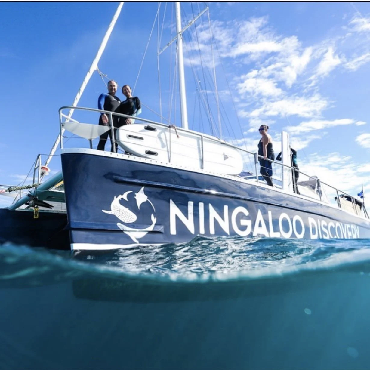 Logo Design, Branding Design Perth