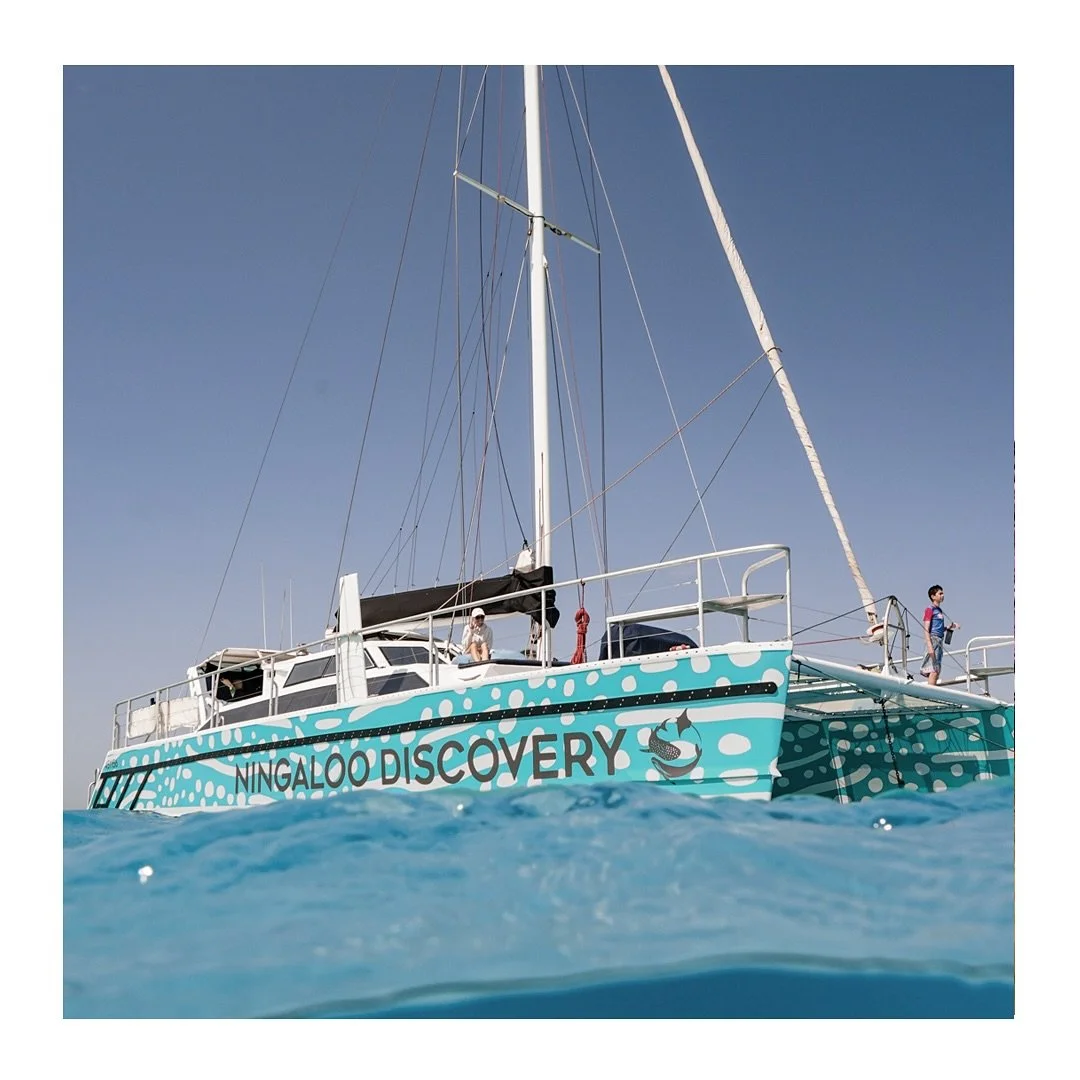 A nod to a dot painting, alluding to whale shark markings, sprinkle in some turquoise Ningaloo water and you have a very unique vinyl boat wrap. This was designed for a commercial whaleshark boat at Ningaloo  for @ningaloodiscovery 

A custom designe