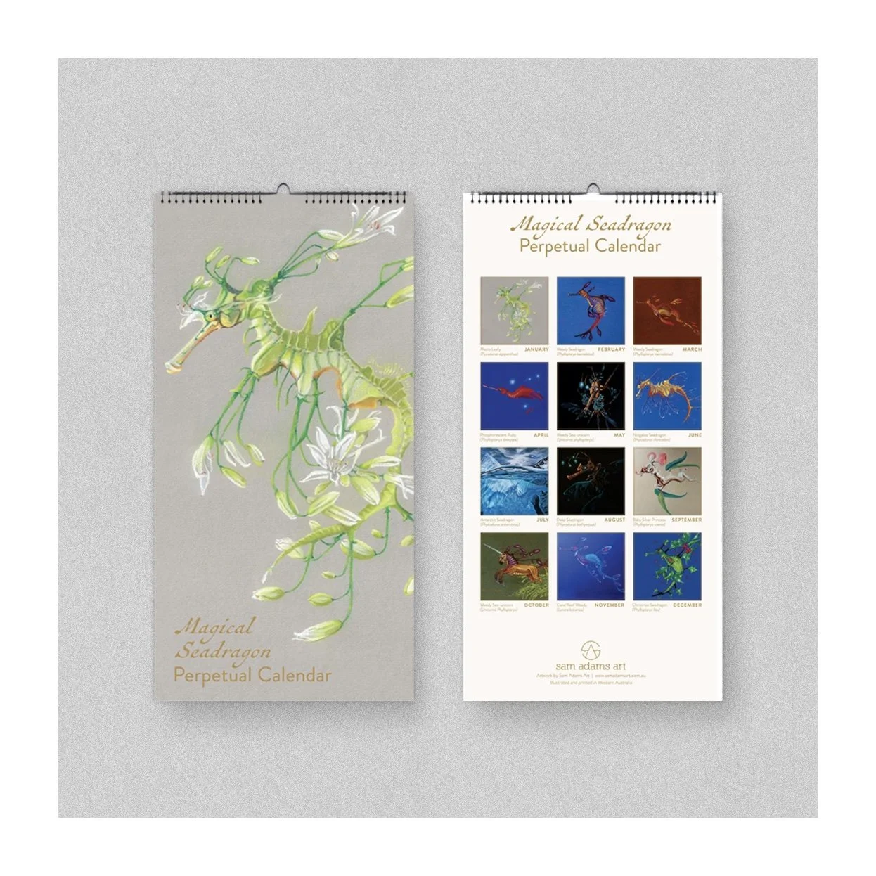 Magical Seadragon Perpertual Calendar Design. Illustrated by Sam Adams. Available for purchase on her website: