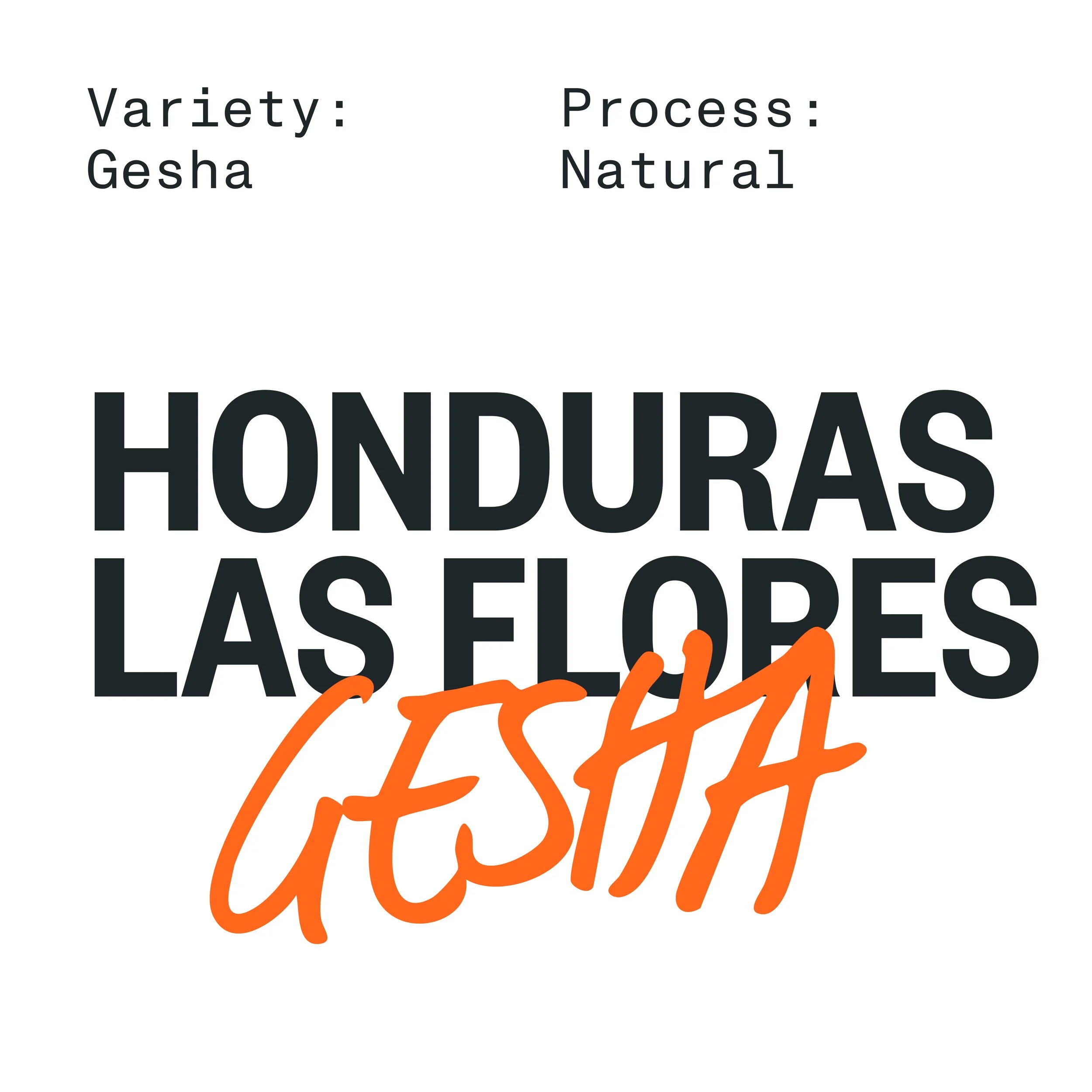 Single Origin_ Honduras Las FloresTile.jpg