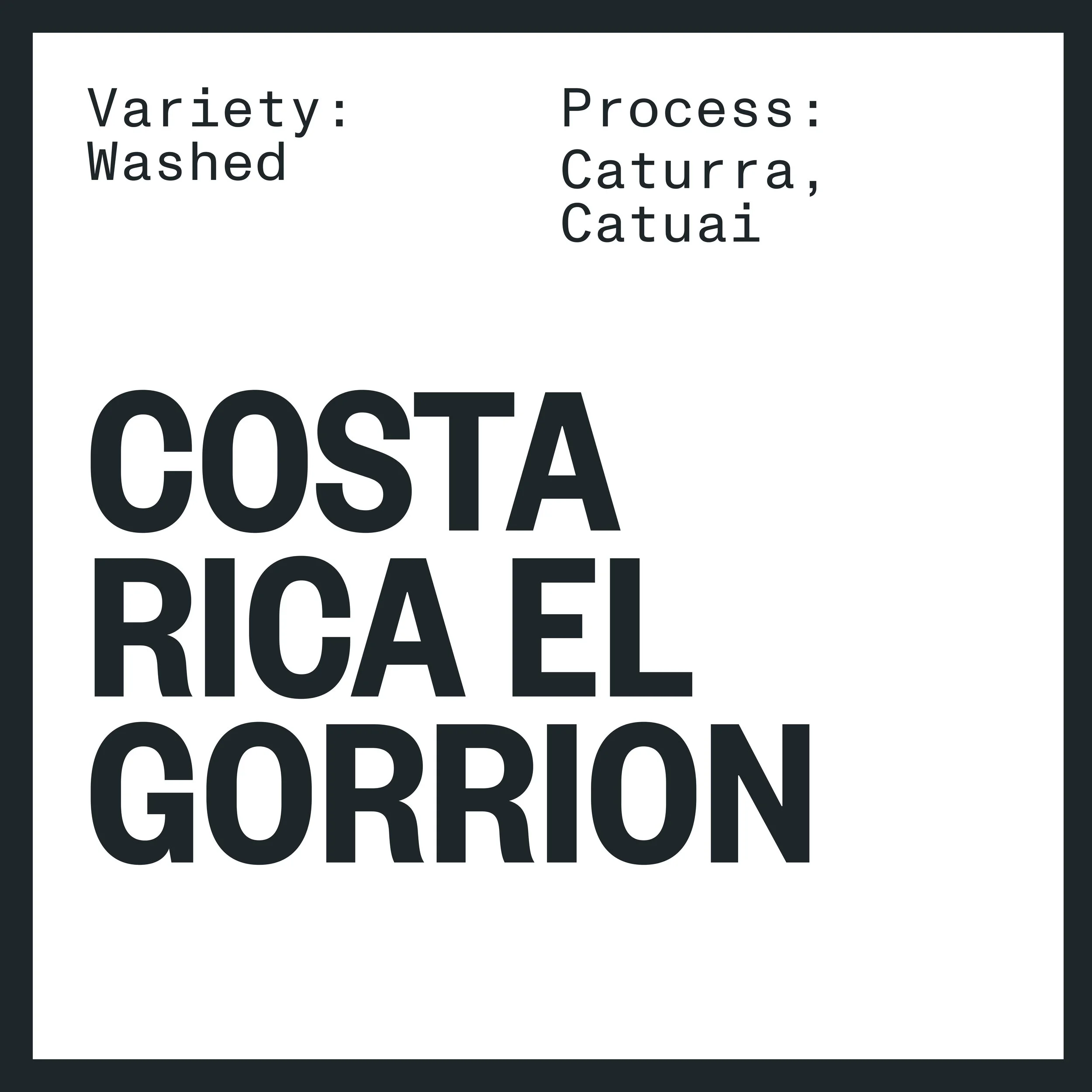Single Origin_ Tile_COSTARICA_El Gorrion.jpg