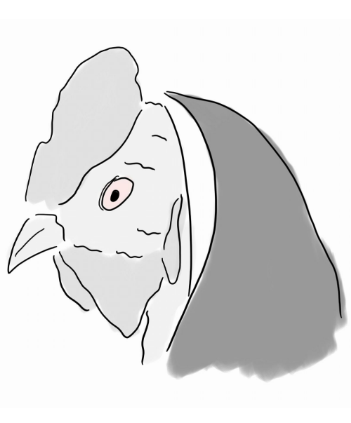 pHighnunchicken2.png