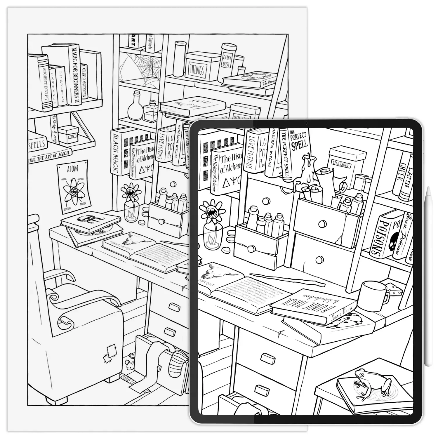 Magical Studies