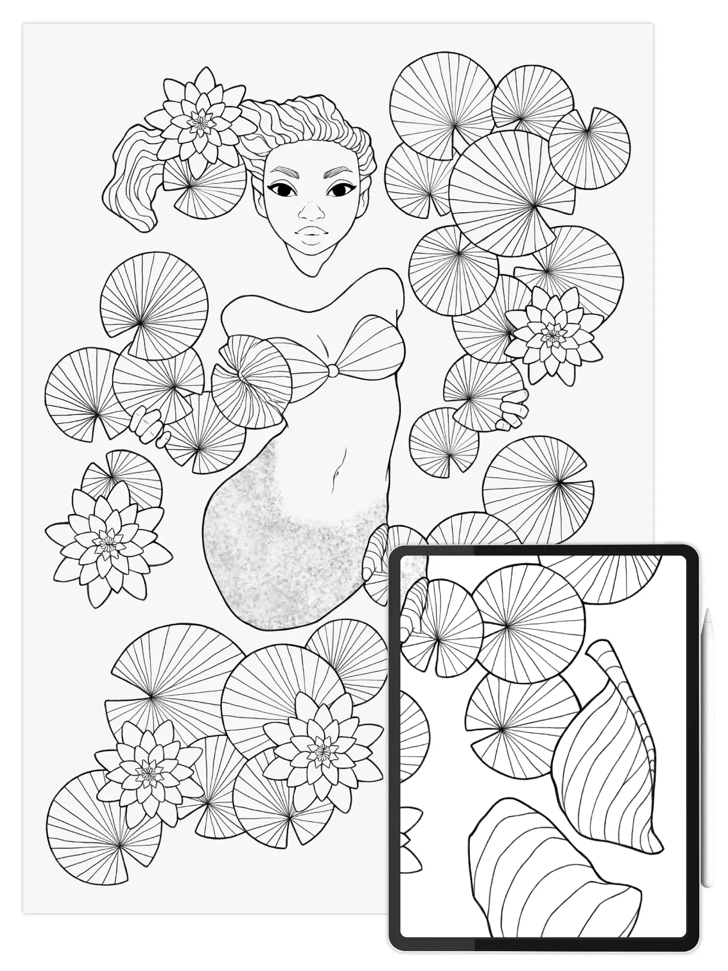 Water Lily