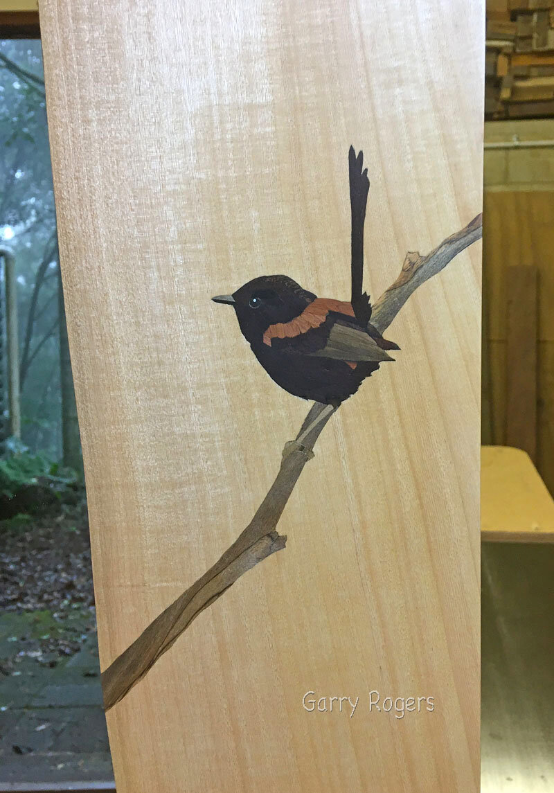Male Red-backed Fairy Wren, Jacaranda mirror