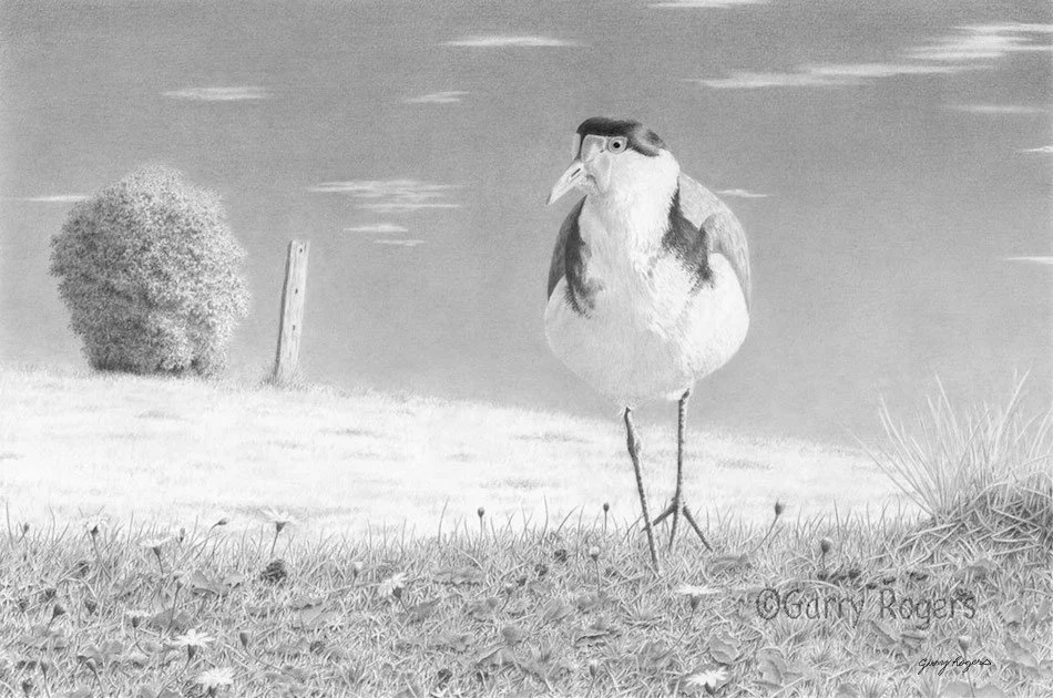 A Few Feathered Friends