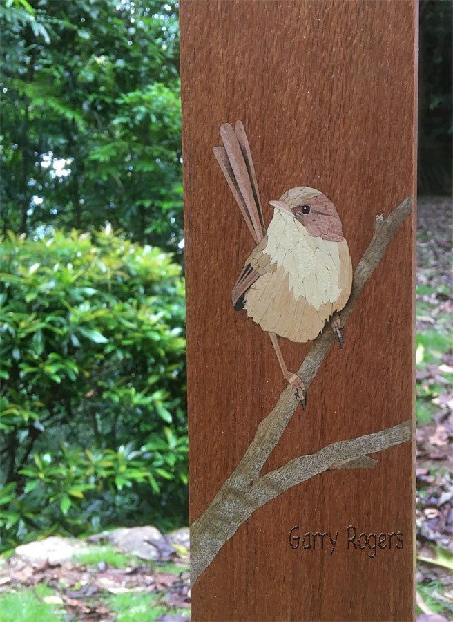 Detail of the female Red-backed fairy wren.