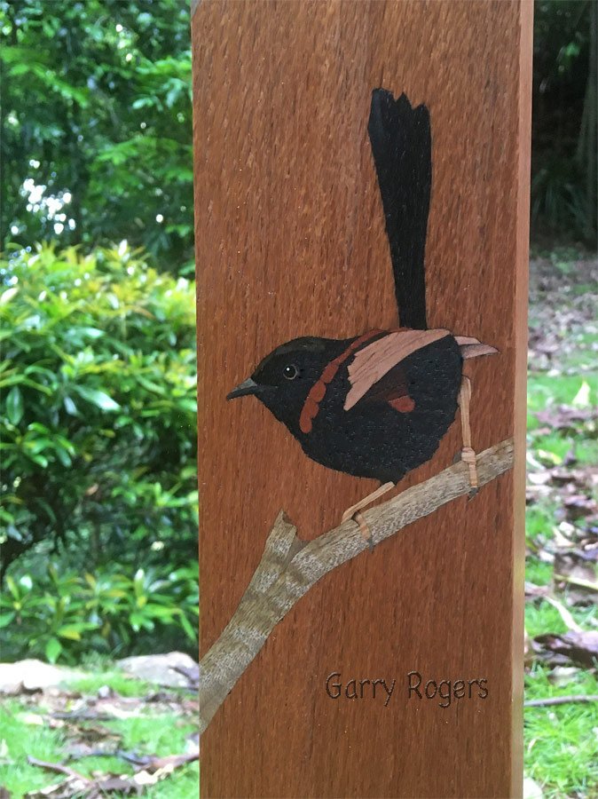 Detail of the male Red-backed fairy wren.