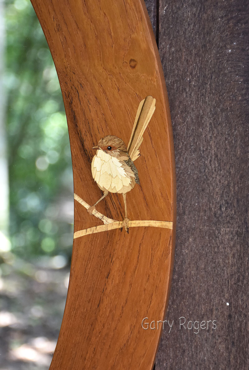 Female Superb Fairy Wren inlay.
