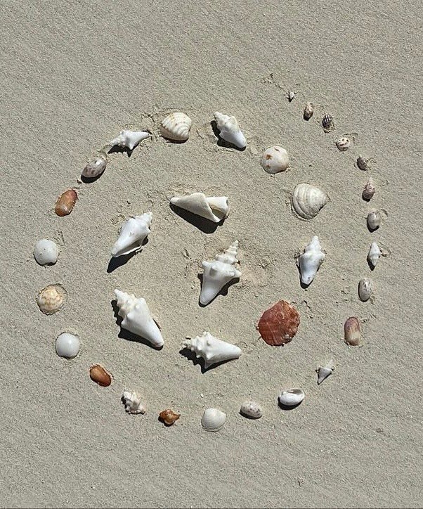 collecting shell-mories 🐚🌞🫶🏼

#capetown #yogagirl #ocean